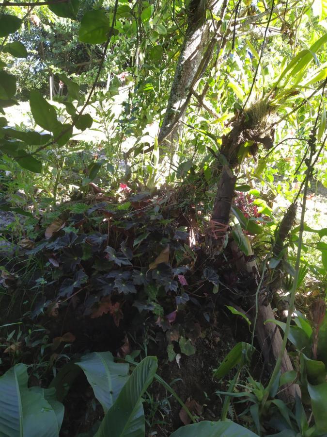 Eco Aldea Topacio Sasaima Ngoại thất bức ảnh